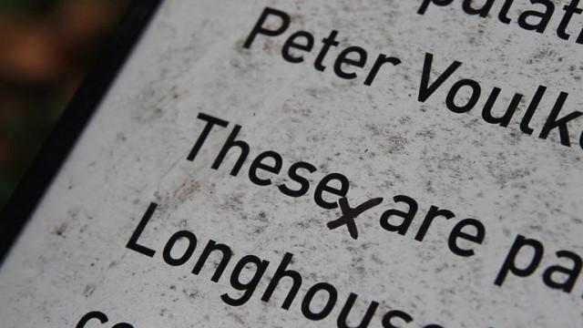 Vigilante Copy Editor