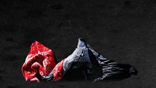 Crips and Bloods: Made in America