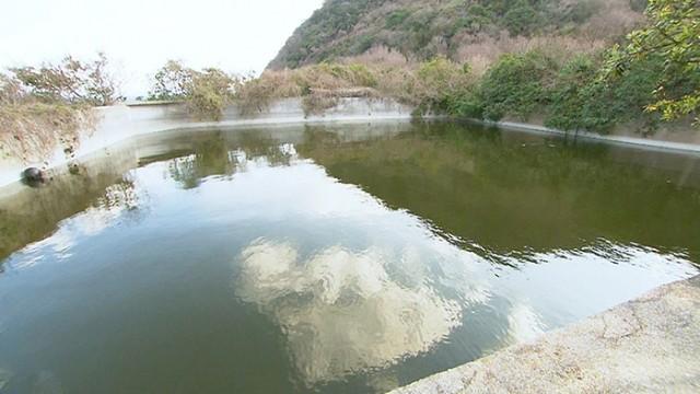 再始動!DASH島の養殖プロジェクト