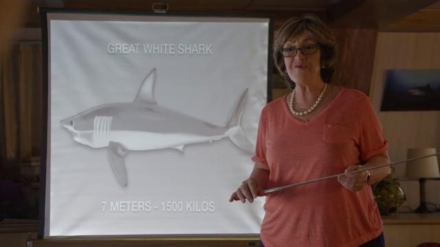 The Great White Hope