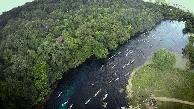 Racing Down a River & Loggerhead Shrikes