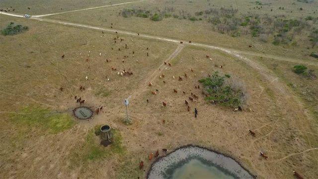 Coastal Prairie Stewards, Fish Habitat Help & Biking Big Bend