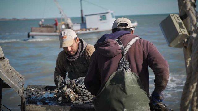 Oystering Life, Duck Ranch, River Keeper