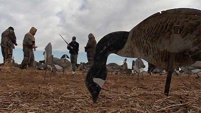 The County Warden, 7 Oaks Ranch, & Austin Warblers