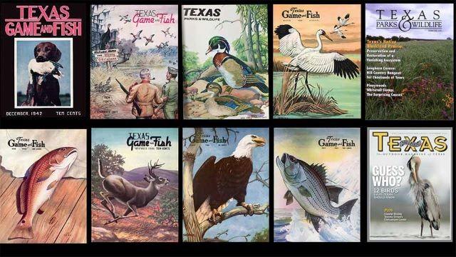 Outdoor Magazine of Texas, Lake Tawakoni & Fishing Tip