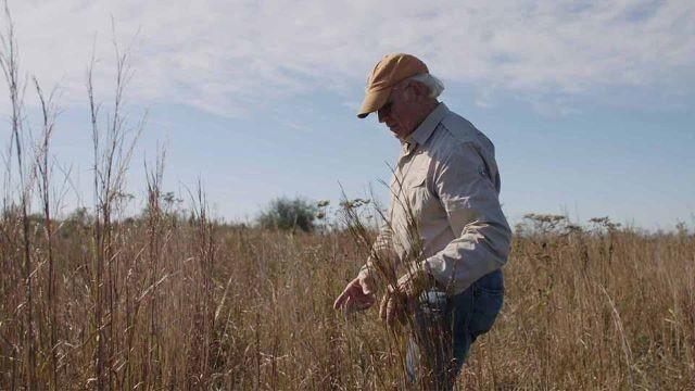 Restoring Grassland, Team for Conservation & Catching Carp