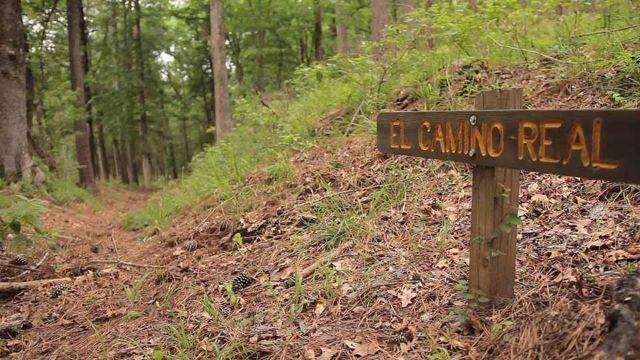 Timeless Trail, Happy Multitasker & Wind Power Questions