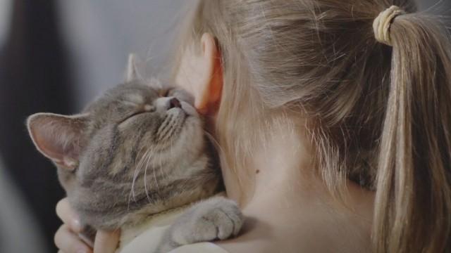 Est-ce que les chats nous aiment vraiment ?