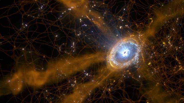 Secrets of the Cosmic Web