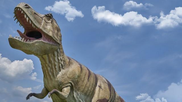 Pourquoi les tyrannosaures avaient-ils de tout petits bras ?