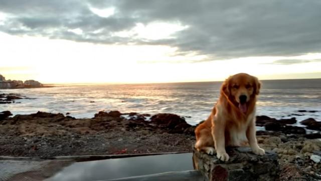 The rolê ilegal no Uruguai