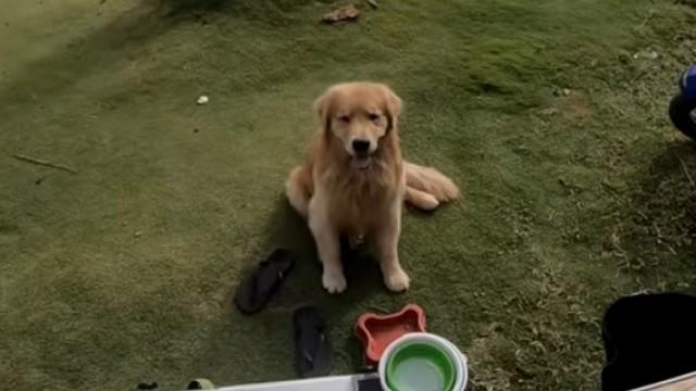 Sem chifres seguimos pelo nordeste