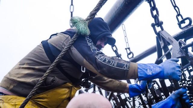 The Million Pound Catch