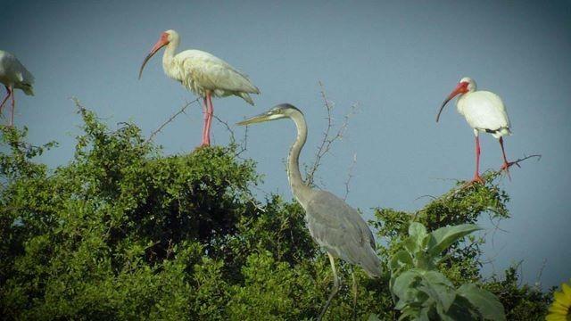 Shrinking Sundown, Ebel Grasslands & San Angelo State Park