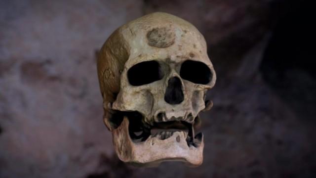 Neanderthal: l'enigma della sua scomparsa