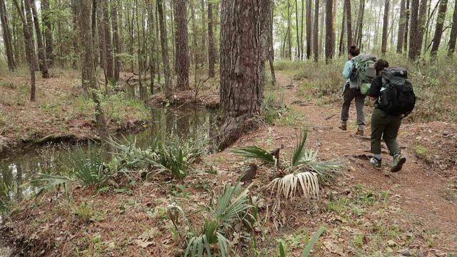 Hundred-mile Hike, Wagley Ranch & Monarch Motel
