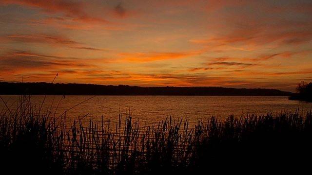 Whooping Crane Science, Cleburne State Park & Butterfly Boosters