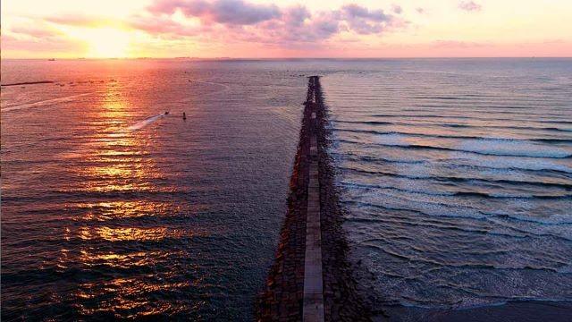 Jetty Fishing, Shrimp Science & Roling Camera