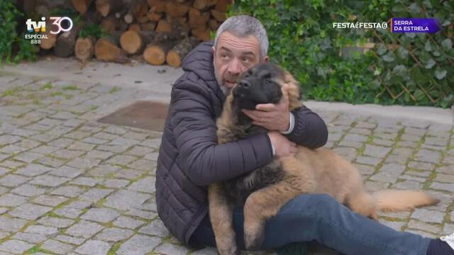 Pânico: Polícia continua à procura de Bino, Nando e Tomé