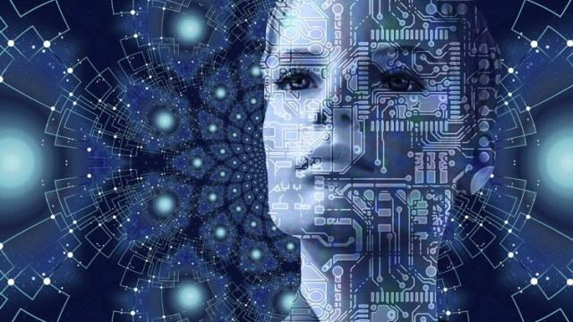 Brains and Computers