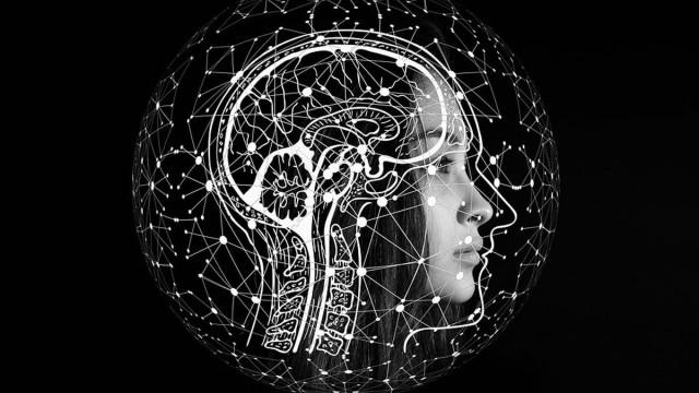 The Conscious Brain - 2 1/2 Physical Theories