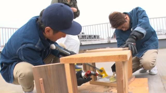 新宿ビル屋上ミツバチに異変…引っ越し大作戦