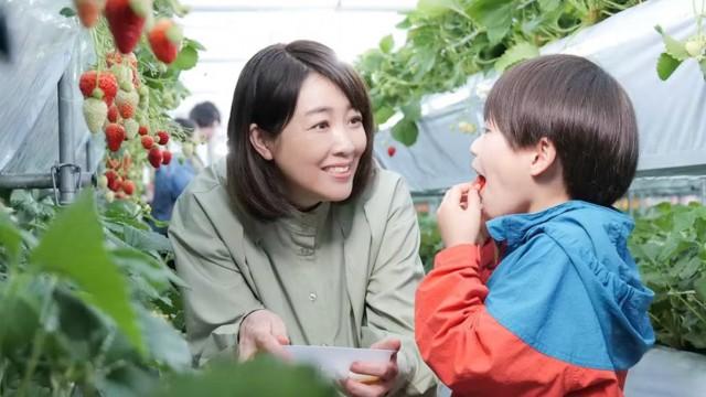 飯蛸は静かに笑う(前編)