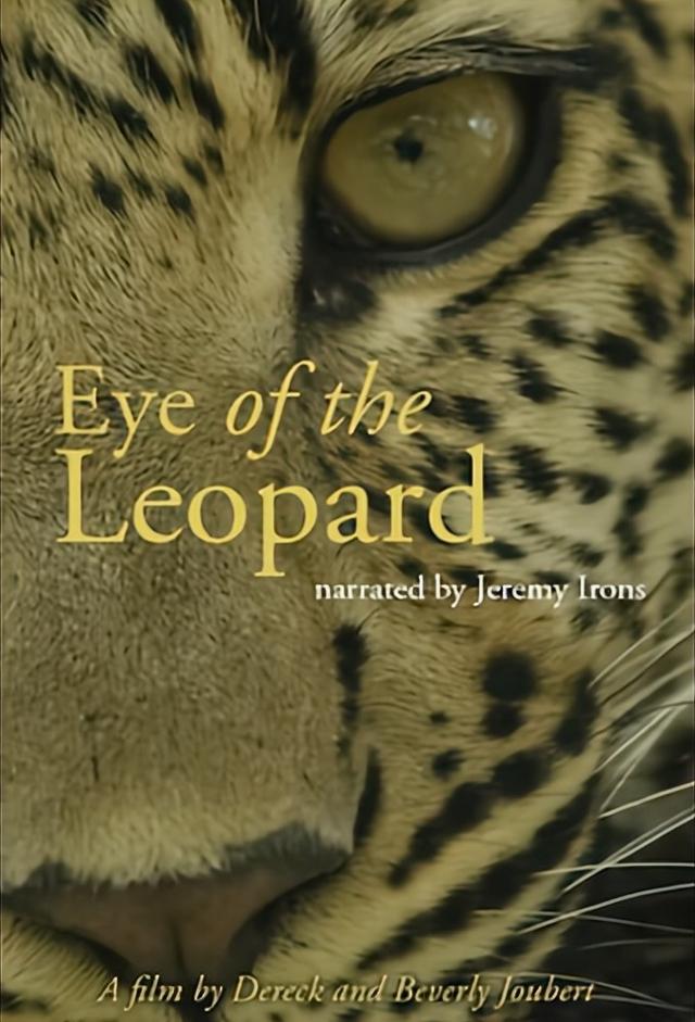 Eye of the Leopard