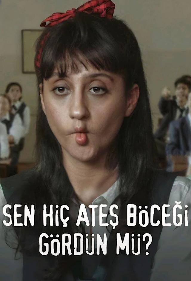 Sen Hiç Ateş Böceği Gördün mü?