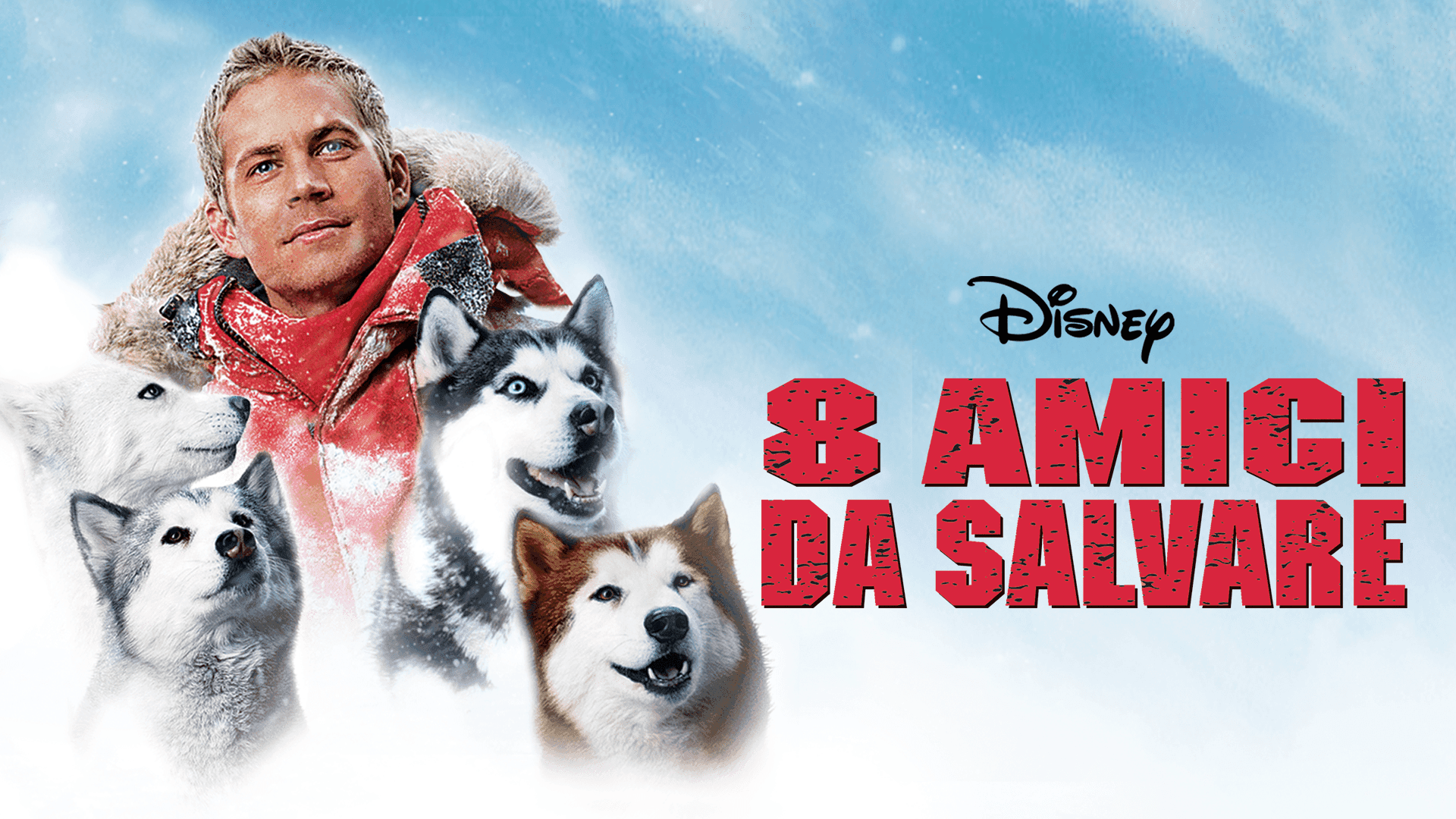 8 amici da salvare