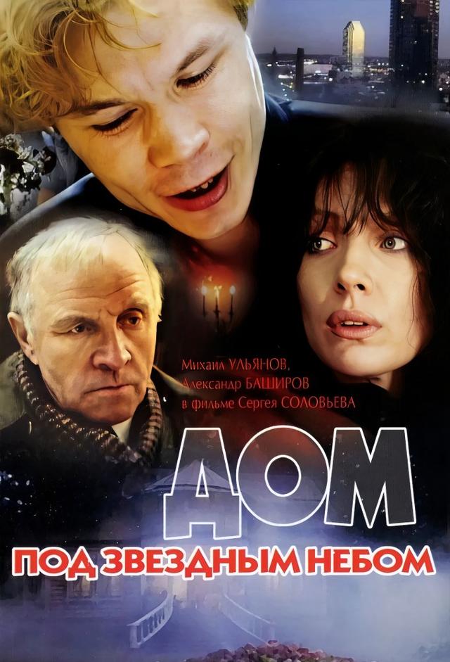 House under a Starry Sky