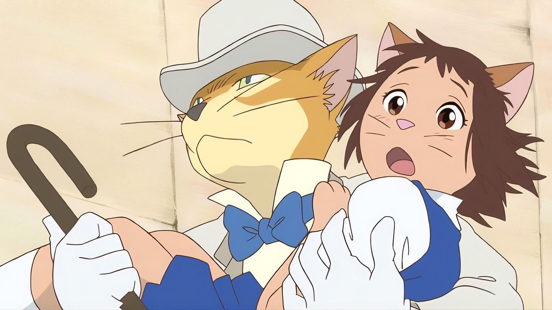 The Cat Returns
