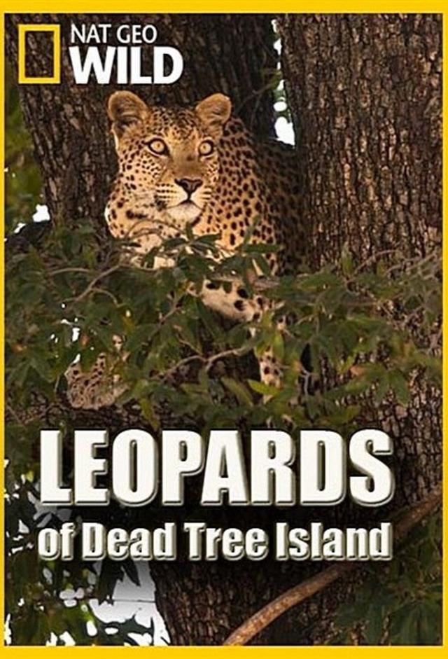 Leopards of Dead Tree Island