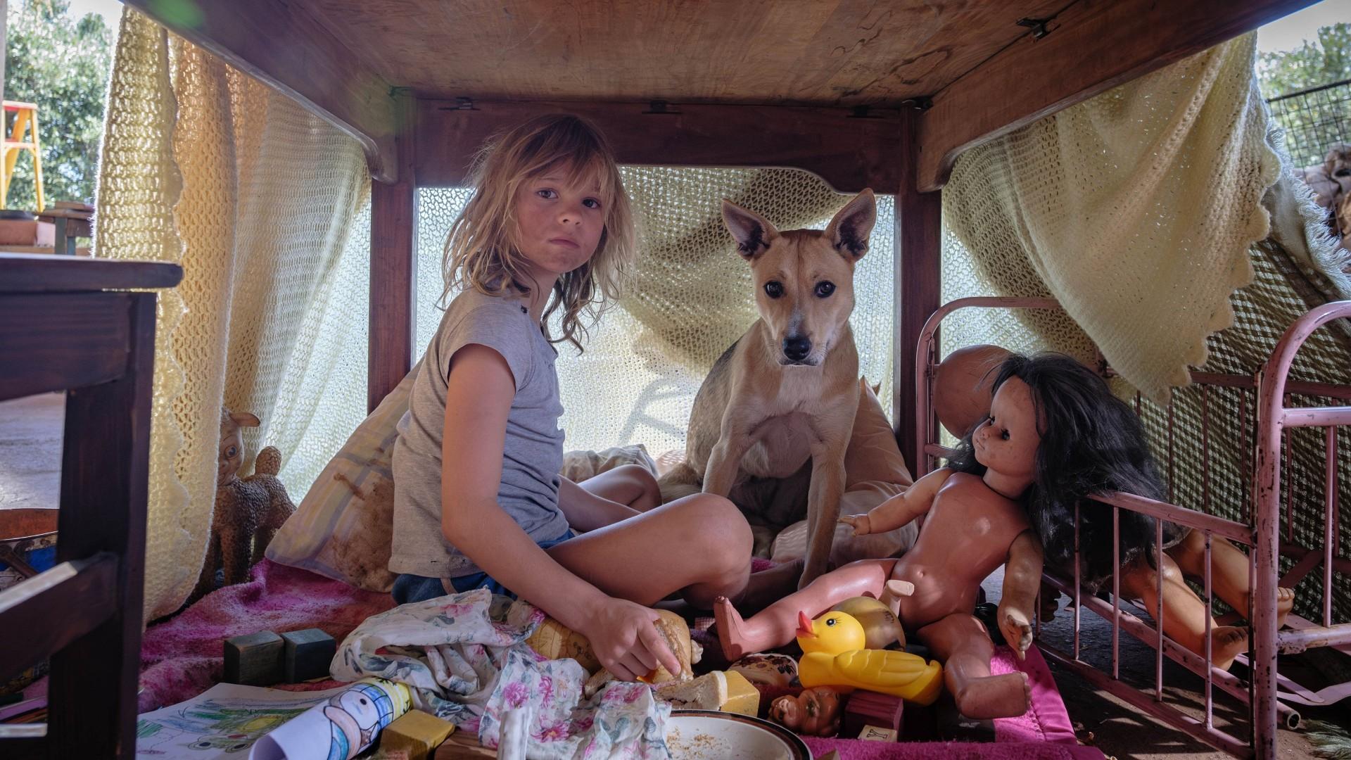 Don’t Let’s Go To The Dogs Tonight