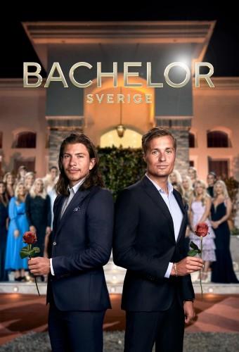 Bachelor Sverige