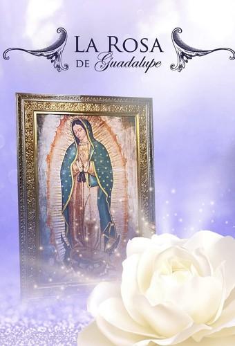 La Rosa de Guadalupe