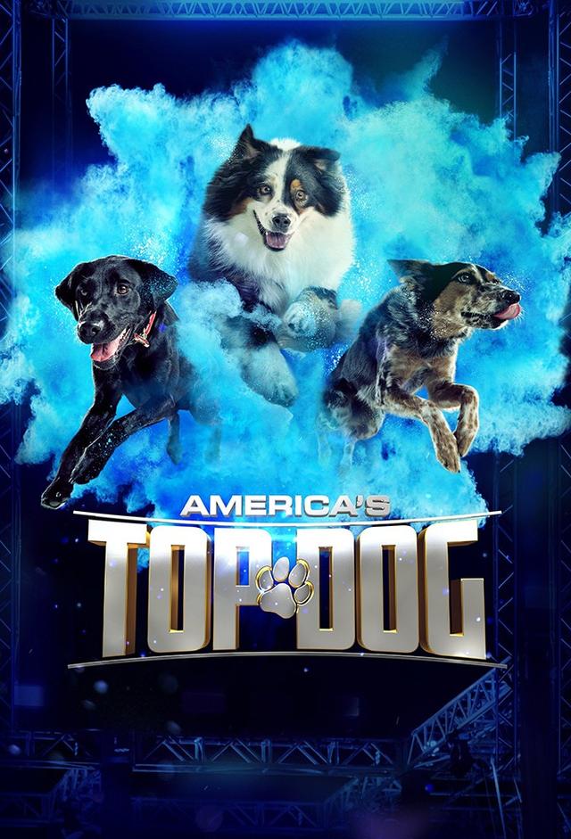 America's Top Dog