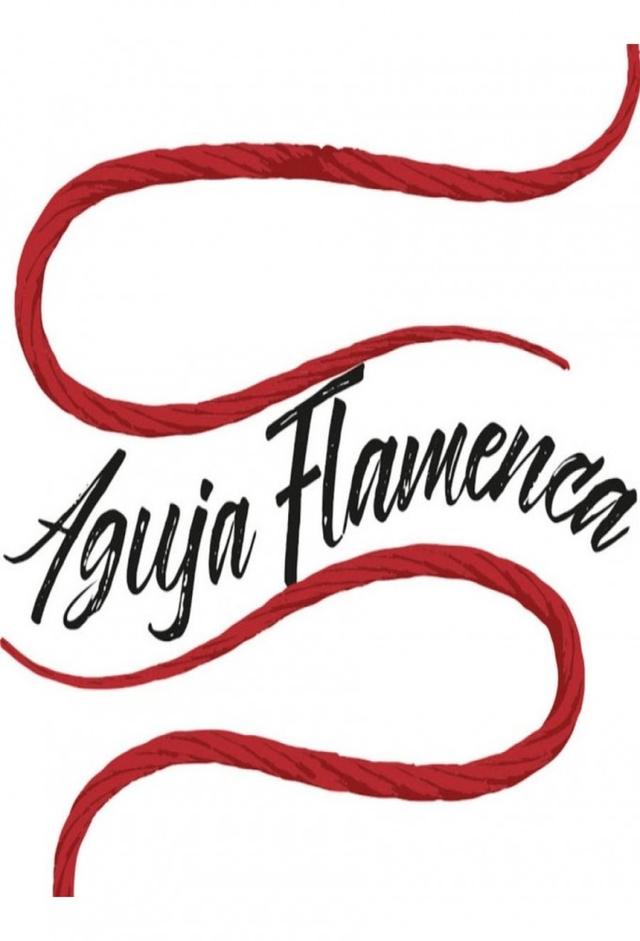 Aguja flamenca