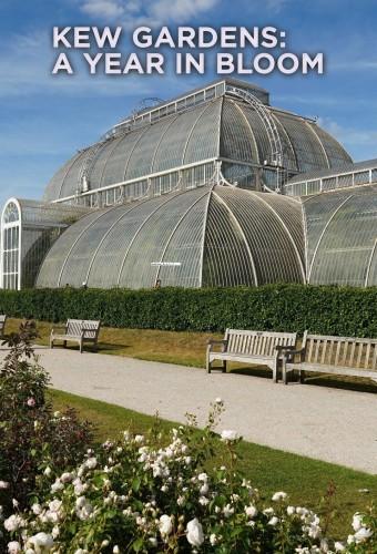 Kew Gardens: A Year In Bloom