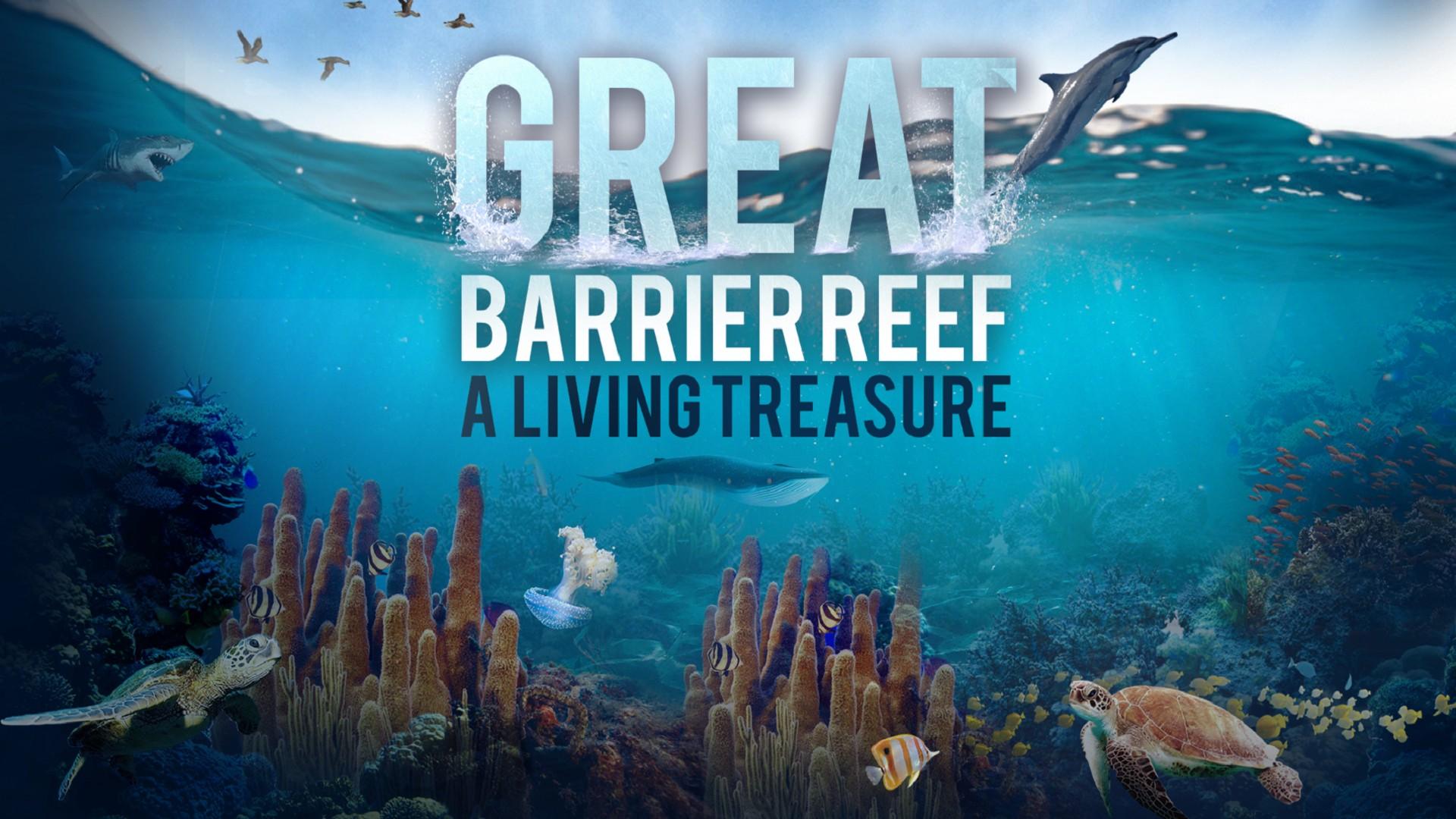 The Great Barrier Reef: A Living Treasure