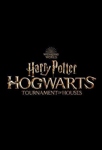 Harry Potter : Le Tournoi des 4 maisons