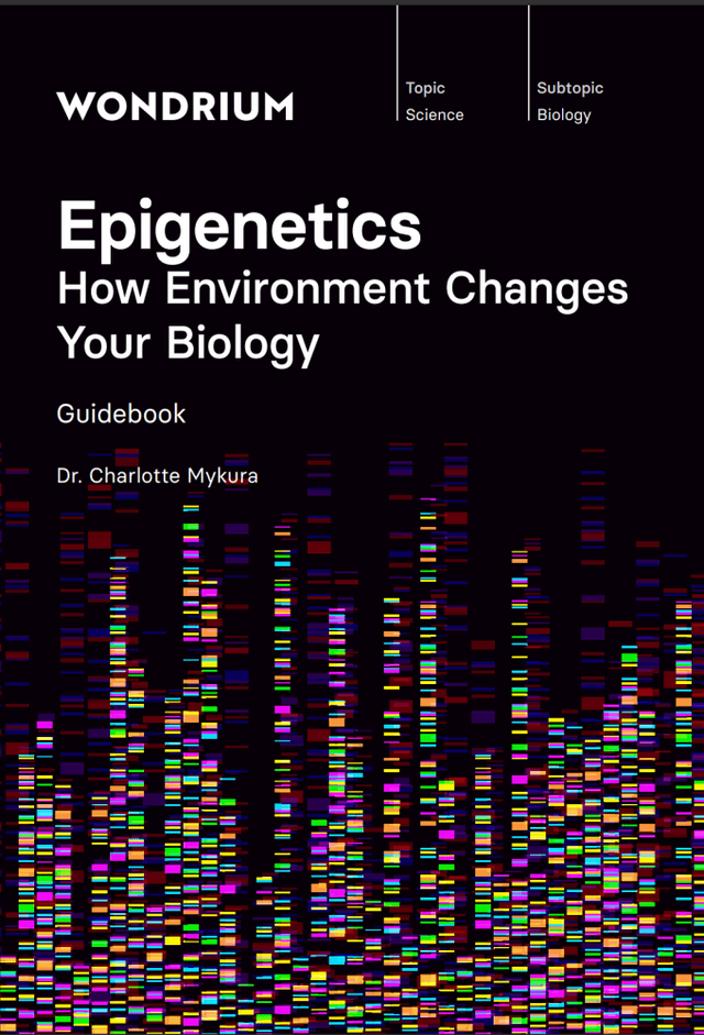 Epigenetics: How Environment Changes Your Biology
