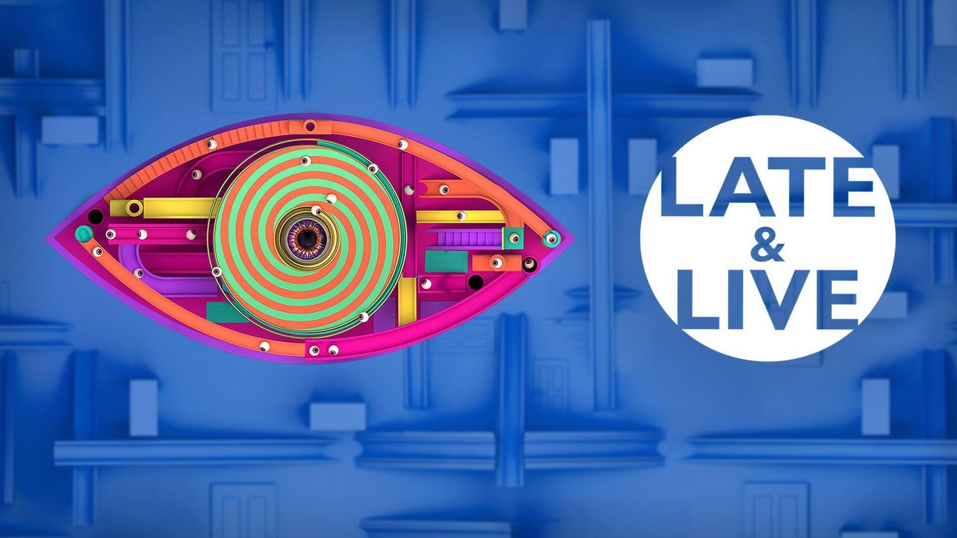 Big Brother: Late & Live