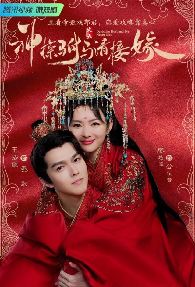 Detective Husband I've Never Met