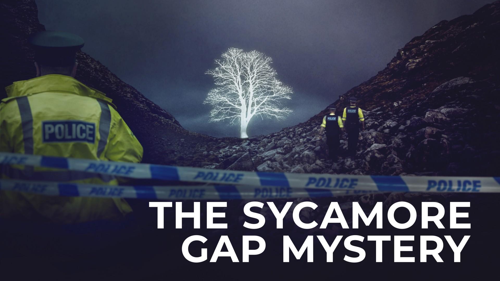 The Sycamore Gap Mystery